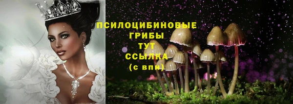 хмурый Семикаракорск